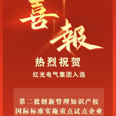 喜讯丨云顶集团电气集团入选国家重点试点企业名单